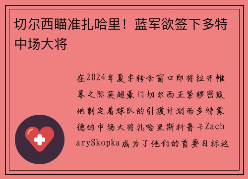 切尔西瞄准扎哈里！蓝军欲签下多特中场大将