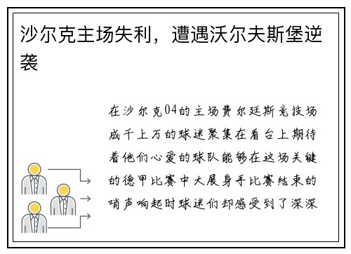沙尔克主场失利，遭遇沃尔夫斯堡逆袭