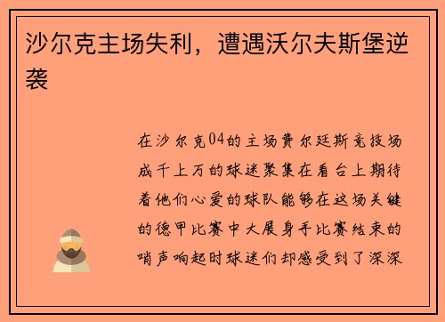 沙尔克主场失利，遭遇沃尔夫斯堡逆袭